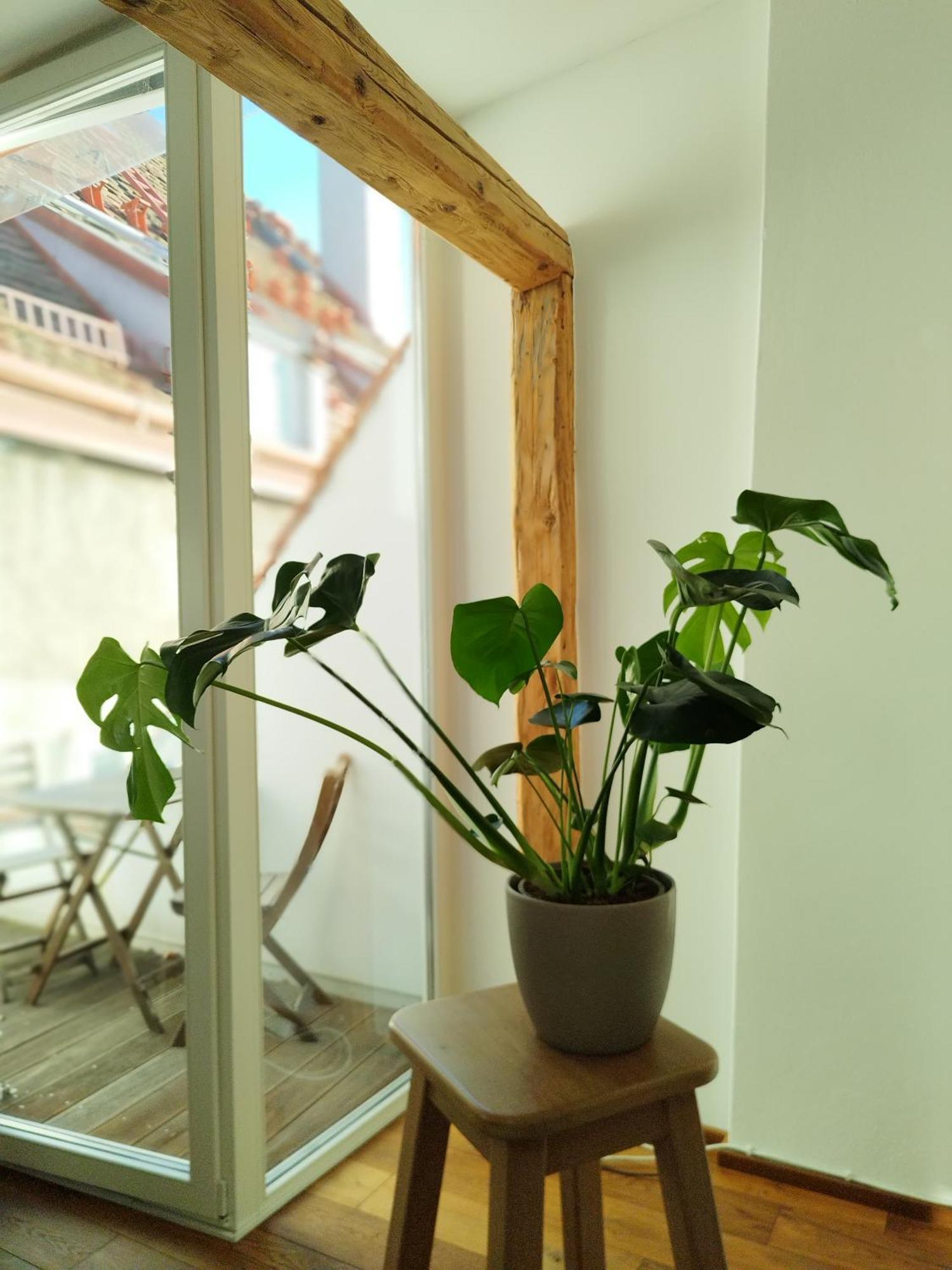 Goldene Pastete - Urban Luxury Apartments Graz Ngoại thất bức ảnh